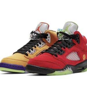 Air Jordan5 Retro SE 