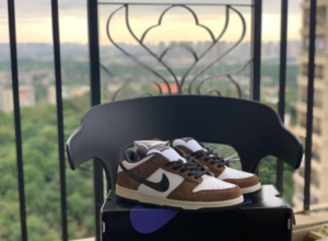 Dunk SB Low Pro "Trail Eed" photo review